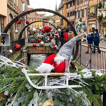 Les Suites Du Cygne Colmar Exteriör bild