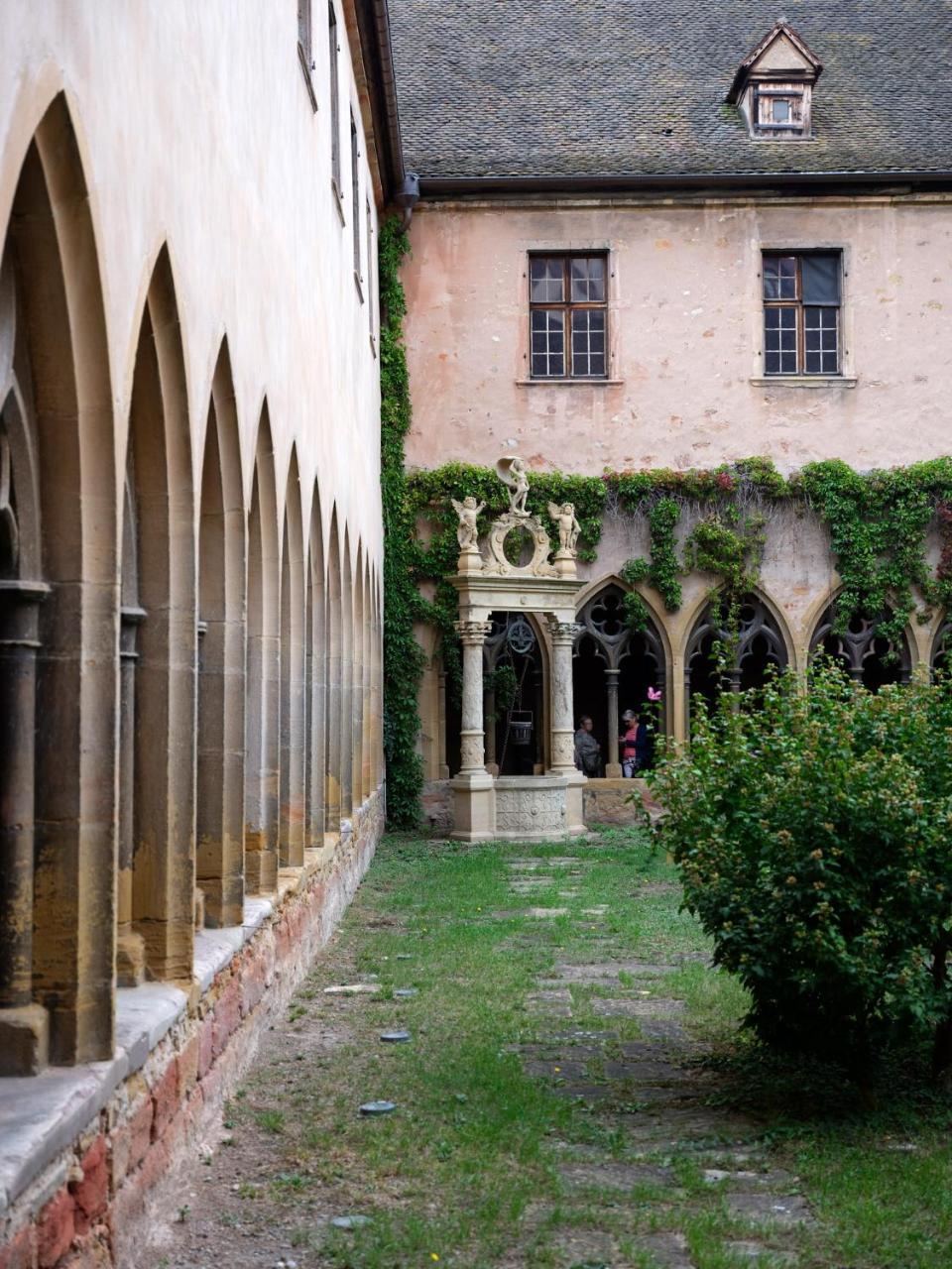 Les Suites Du Cygne Colmar Exteriör bild